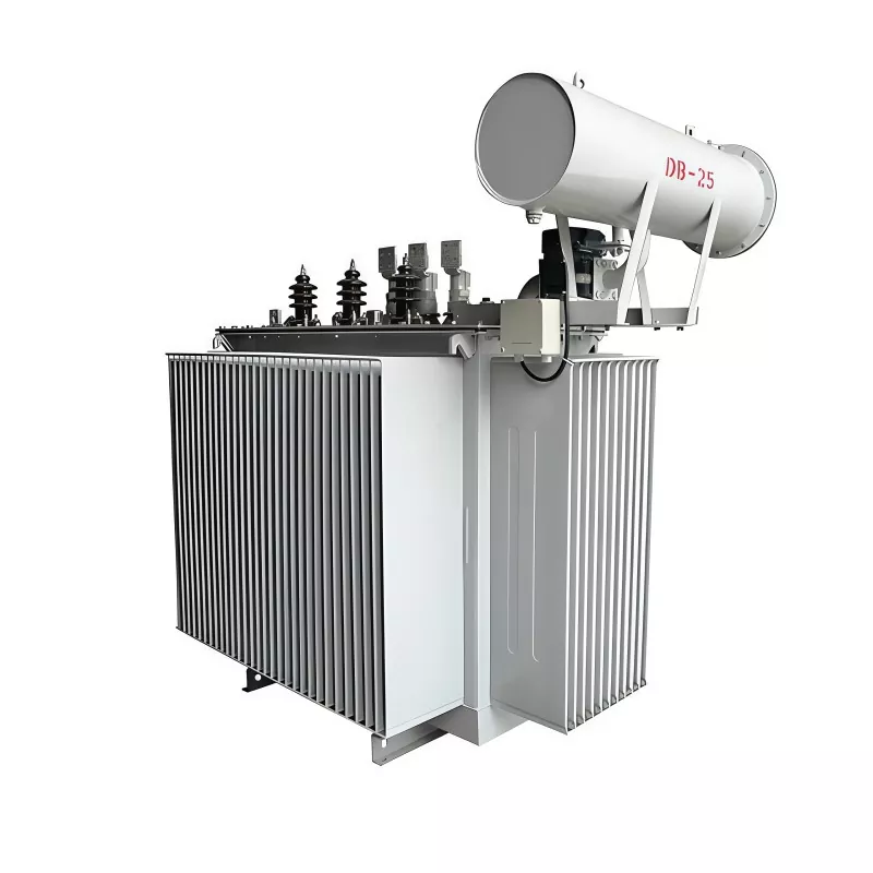 800KVA 35KV త్రీ ఫేజ్ ఆయిల్ ఇమ్మర్స్డ్ డిస్ట్రిబ్యూషన్ ట్రాన్స్‌ఫార్మర్